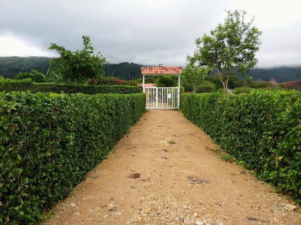 Bed and breakfast C&H Casa Campestre El Oasis Ricaurte Girardot Extérieur photo