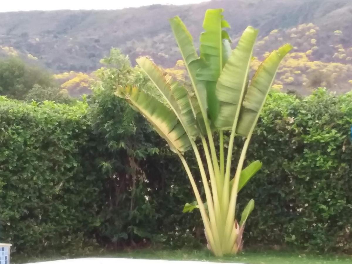 Bed and breakfast C&H Casa Campestre El Oasis Ricaurte Girardot Extérieur photo